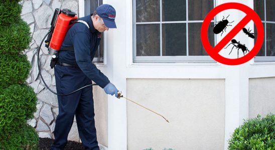 Arsuz Dezenfeksiyon böcek ilaçlama ve haşere kontrolü — ilaclama-tr.com